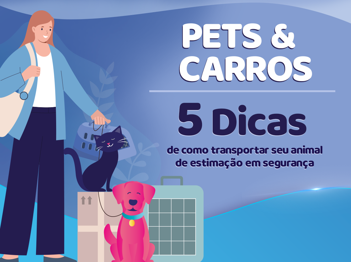 Pets e carros: Como transportar pets com segurança